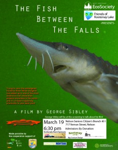 Fish Between the Falls Poster 2015