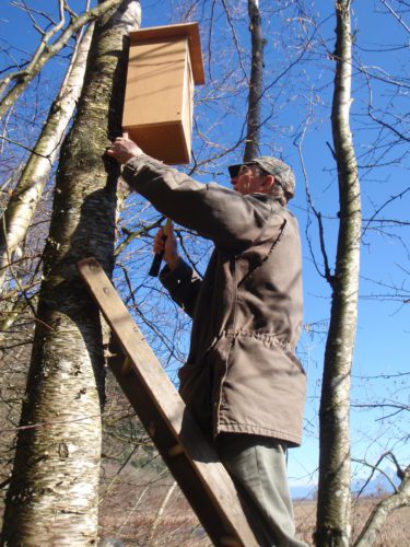 Friends of Kootenay Lake Volunteer